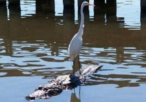 �Ｑ����A00