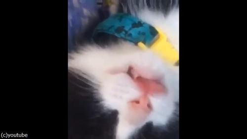 ������ǭ�ο���03
