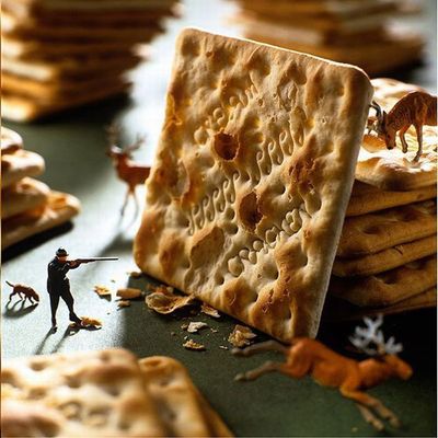 ����ʪ������¤�������ߥ˥��奢������05