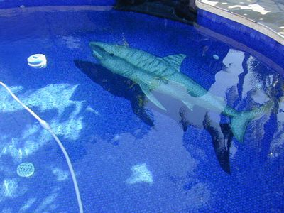 涼しげな3Dプール08