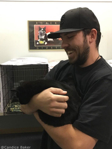 4歳児と2匹の猫が再会01