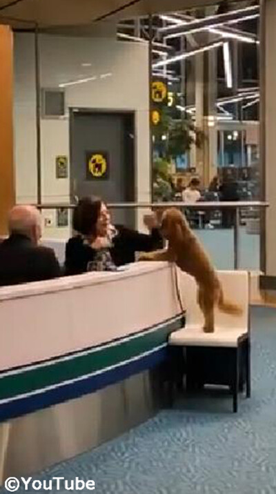 ���֥ϥ����Ƥ�館�ޤ��󤫡���03