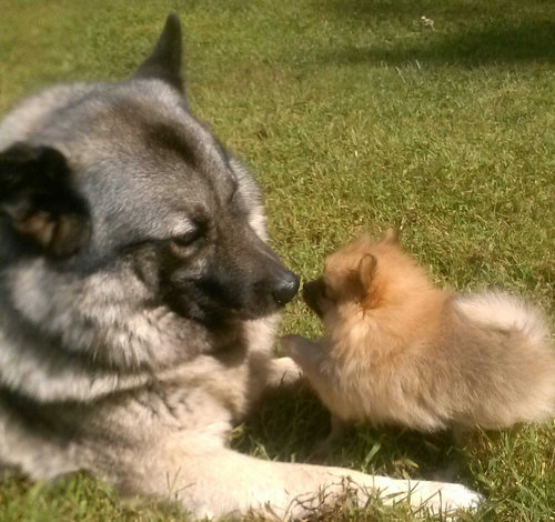 05�ƤΰҸ��Ǥ���ä��Ԥ��ʤ���