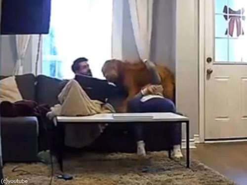 �Ҹ��ε��������緿��04