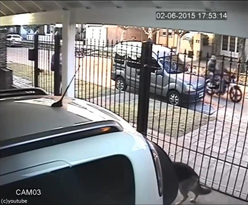 バイク強盗に襲われた女性、とっさの機転01