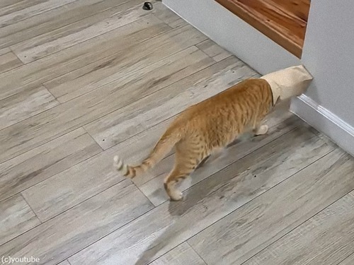 ޤƬȴʤʤäǭɤ˥åĥ󤷤Ƥޤ