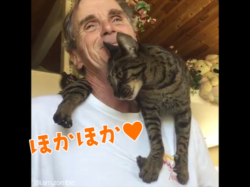 ����ʥޥե顼���ߤ���00