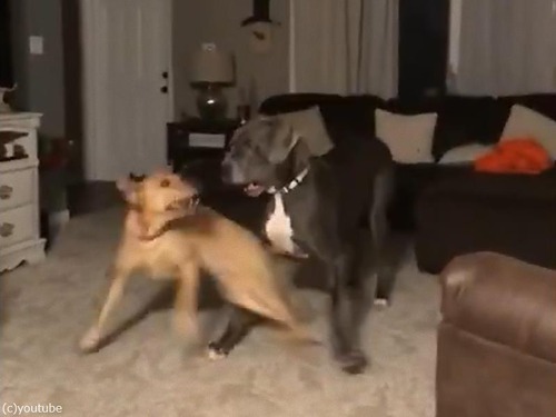 ��ʳ����ȹ�®���ԥ󤹤븤02