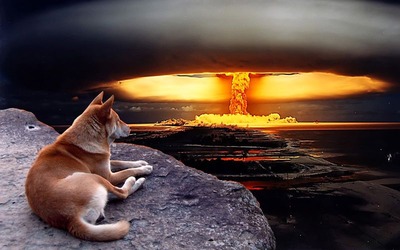 絶景を見下ろす犬11