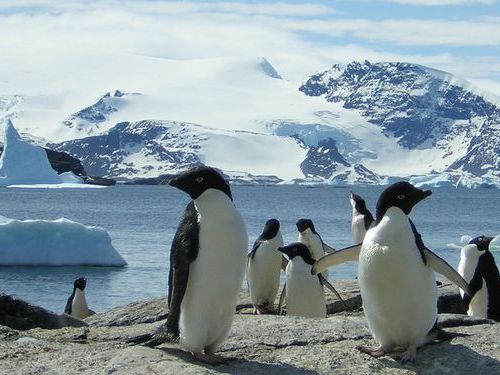 �ڥ󥮥�ҤȤ�00