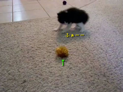 ��ǭ�ȥܡ���