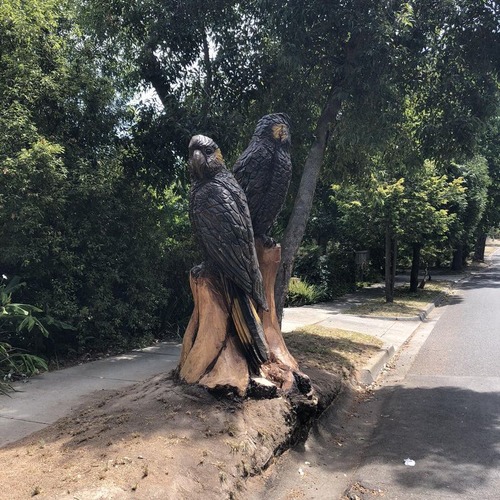 倒木とご近所さん01