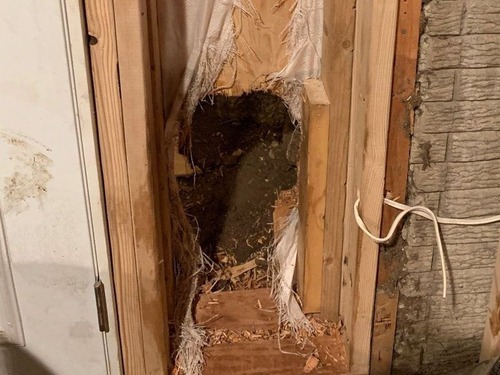 ���ޤ��ɤ˷�򳫤���æ��02