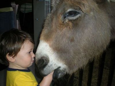 �ڤ����Ҷ�����04