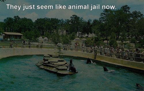 子供の頃は最高に楽しかったこと15