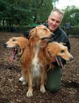 地獄の番犬ケルベロス02