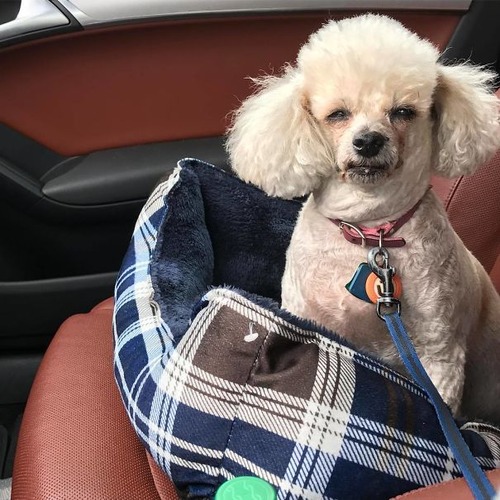 �ð�˹Ԥ��ȸ�ä���10