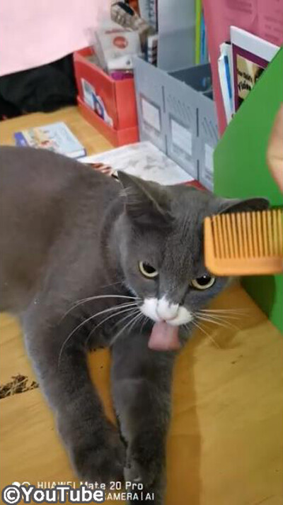 ���������ˤ���Ȥʤ����Ĥ����ʤä��㤦����˥��02
