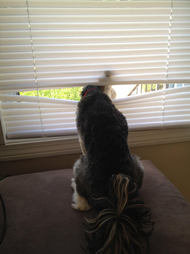 ������ǭ���뤫�鳰�򸫤�Τ�����04