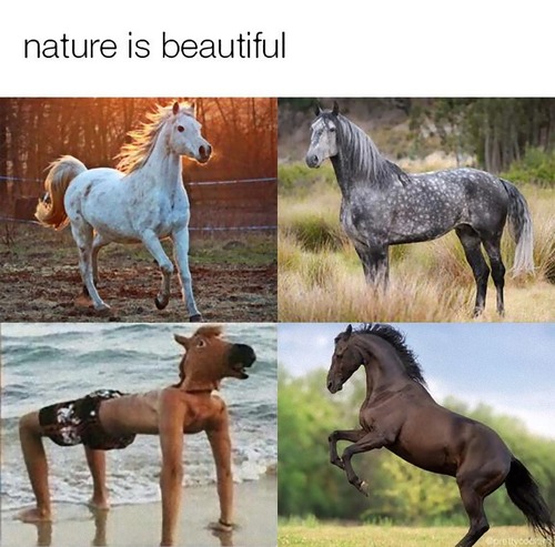 ������4Ƭ����01