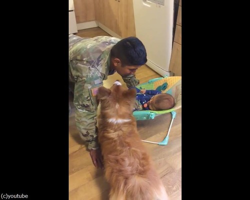 �䤭�����������01