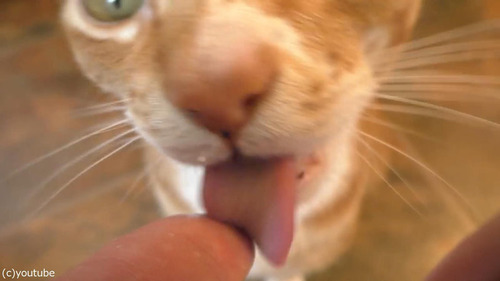 �ۥ��åץ��꡼��򰦤���ǭ07