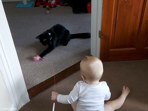 ǭ������֤����04