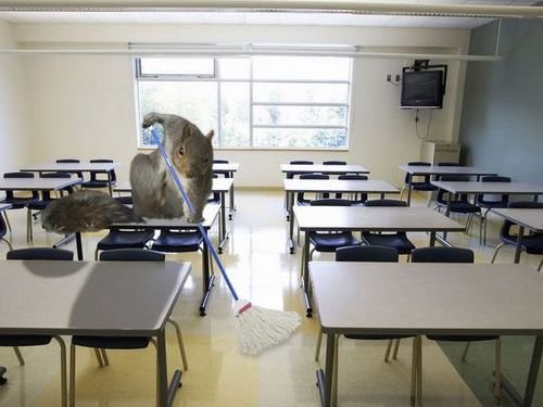 スーパーヒーローなリス08