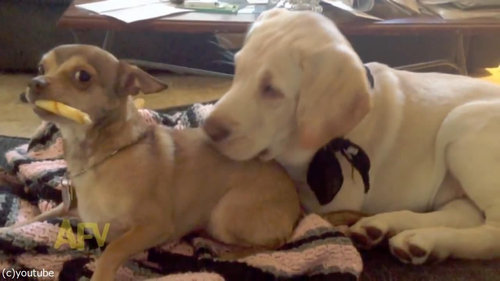 ���餷���θ�05