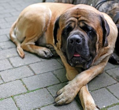 ������Ĺ02