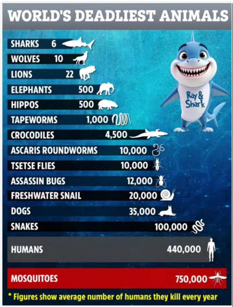 �Ǥ�ͤ򻦤��Ƥ�������ʪ��󥭥�01