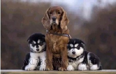 3ɤ�θ�����Ĺ01