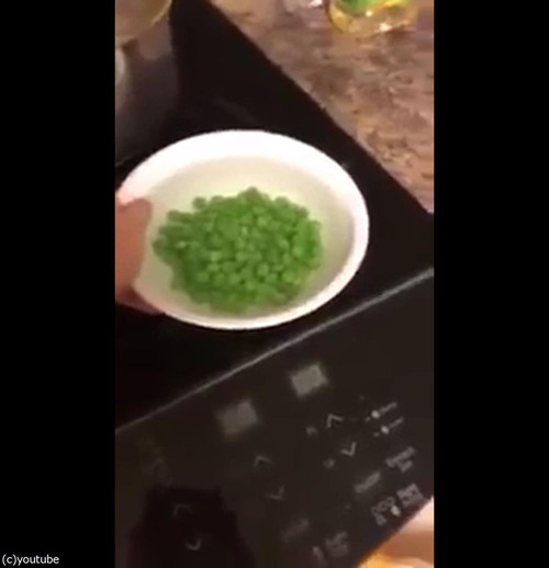 アヒルの食べる速度01