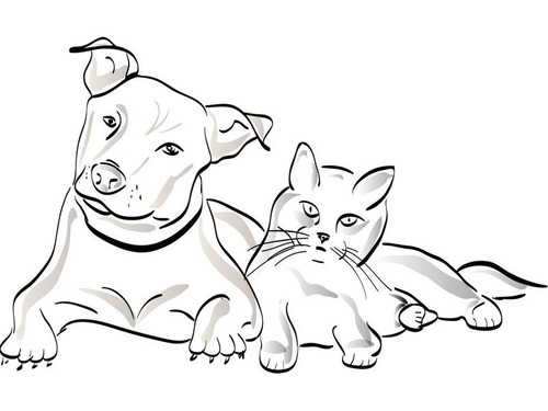 「犬だと思ってたのに…」ある瞬間から猫に見えるトリックのような現象