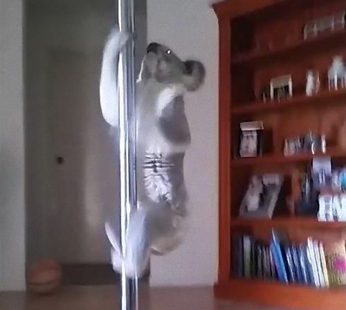 ������Υݡ������03