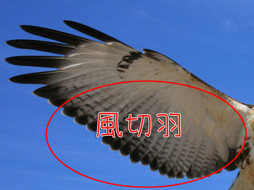 ���ڤ걩00