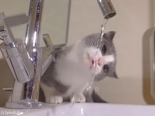 ��Ȼ�ǭ04