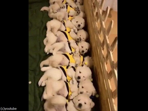 �Ҹ����������Ƥ˵�����03