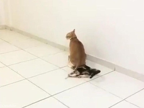 ǭ �ֽ����ơ���01