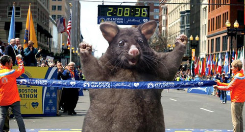 オポッサムのパロディ07