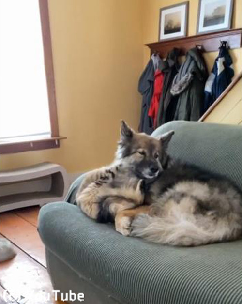 Ʊ������ۤ����ɤ��ʤդ���01