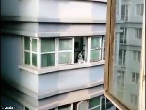 向かいの犬を呼ぶ方法04