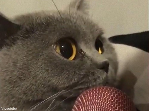 ���饪���ޥ������ܤä�ǭ01