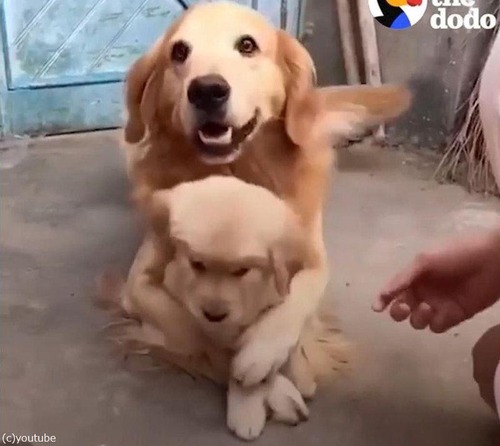 ̼��Ů������ѥѸ�04