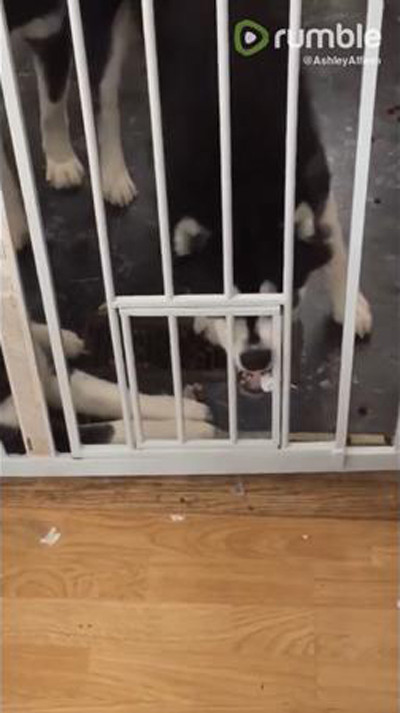 �ϥ�����������æ�з�02