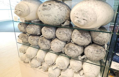 ���ֳ�ͷ�ۡפΥ����饷���å����01