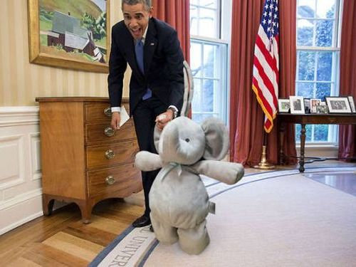 子供のぬいぐるみが世界中を旅23