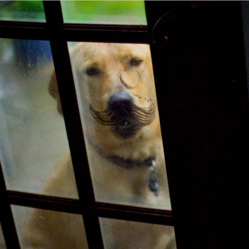 窓ガラスに落書き20