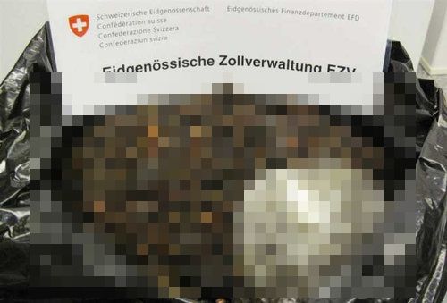 空港で毛虫の死骸を密輸02