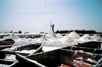 セネガルのレトバ湖08